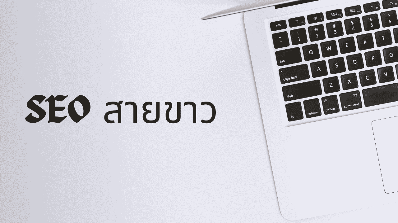 SEO สายขาว