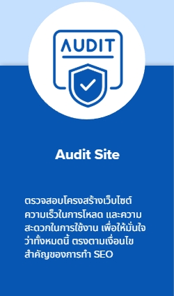 Audit Site
